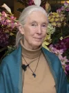 Jane Goodall