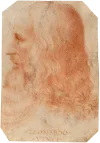 Leonardo da Vinci
